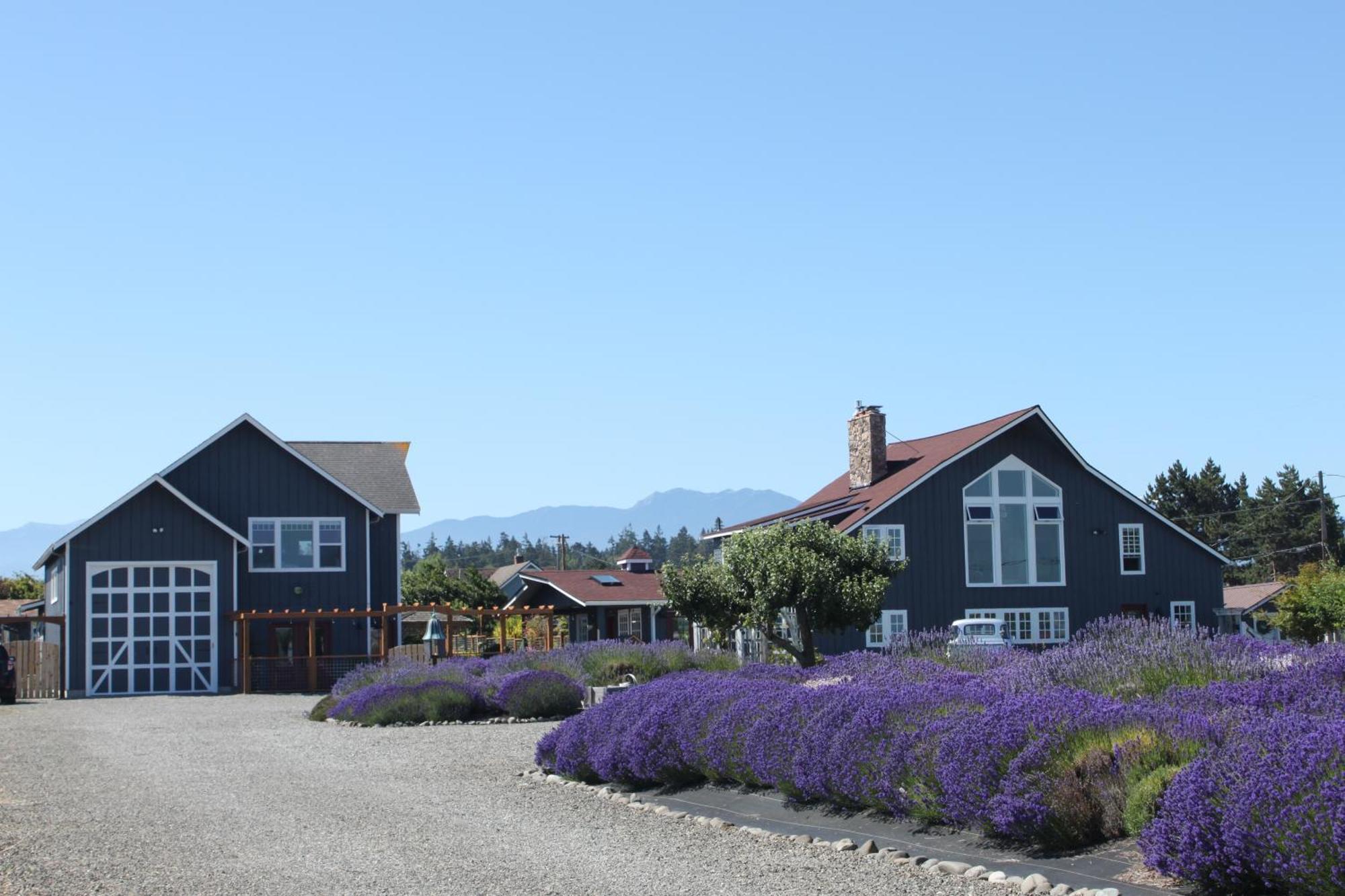 Dungeness Barn House Bed And Breakfast At Two Crows Farm 塞奎姆 外观 照片