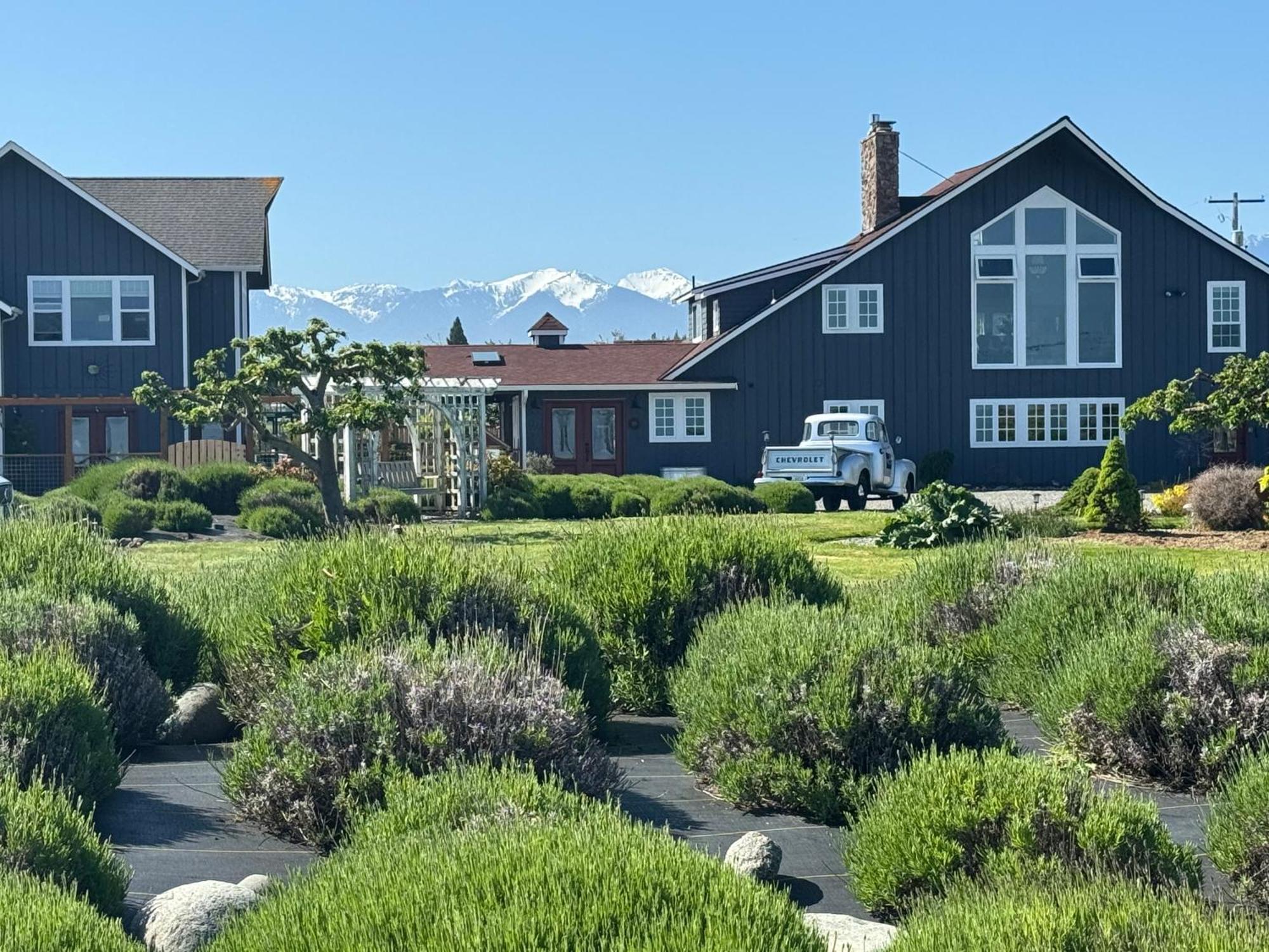 Dungeness Barn House Bed And Breakfast At Two Crows Farm 塞奎姆 外观 照片