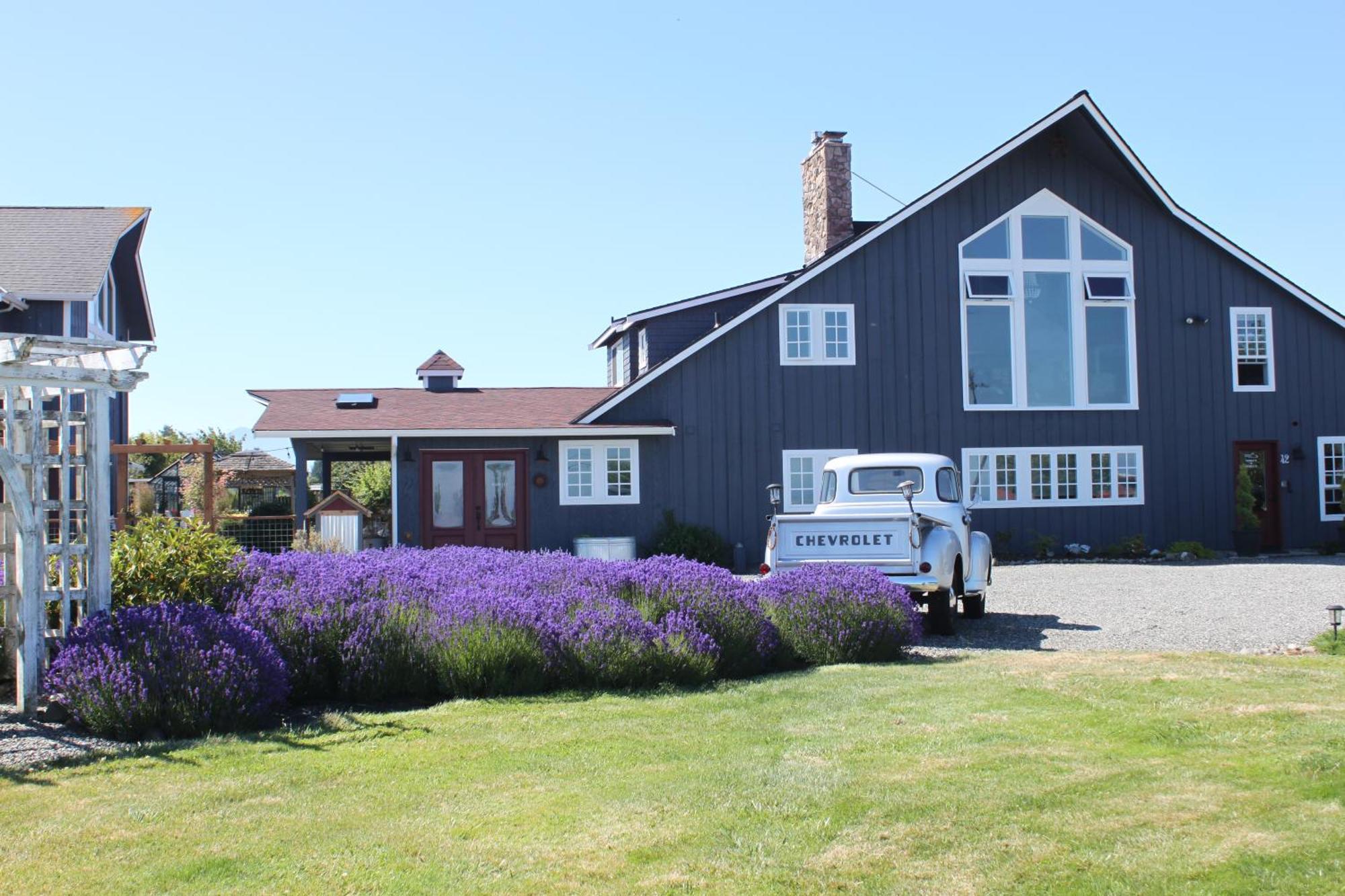 Dungeness Barn House Bed And Breakfast At Two Crows Farm 塞奎姆 外观 照片