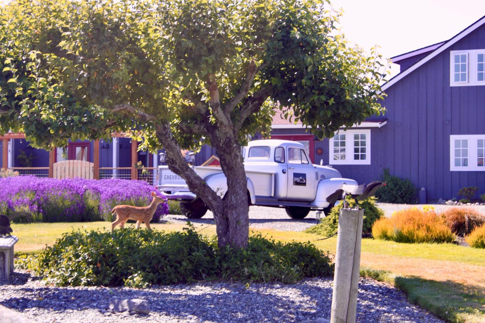 Dungeness Barn House Bed And Breakfast At Two Crows Farm 塞奎姆 外观 照片