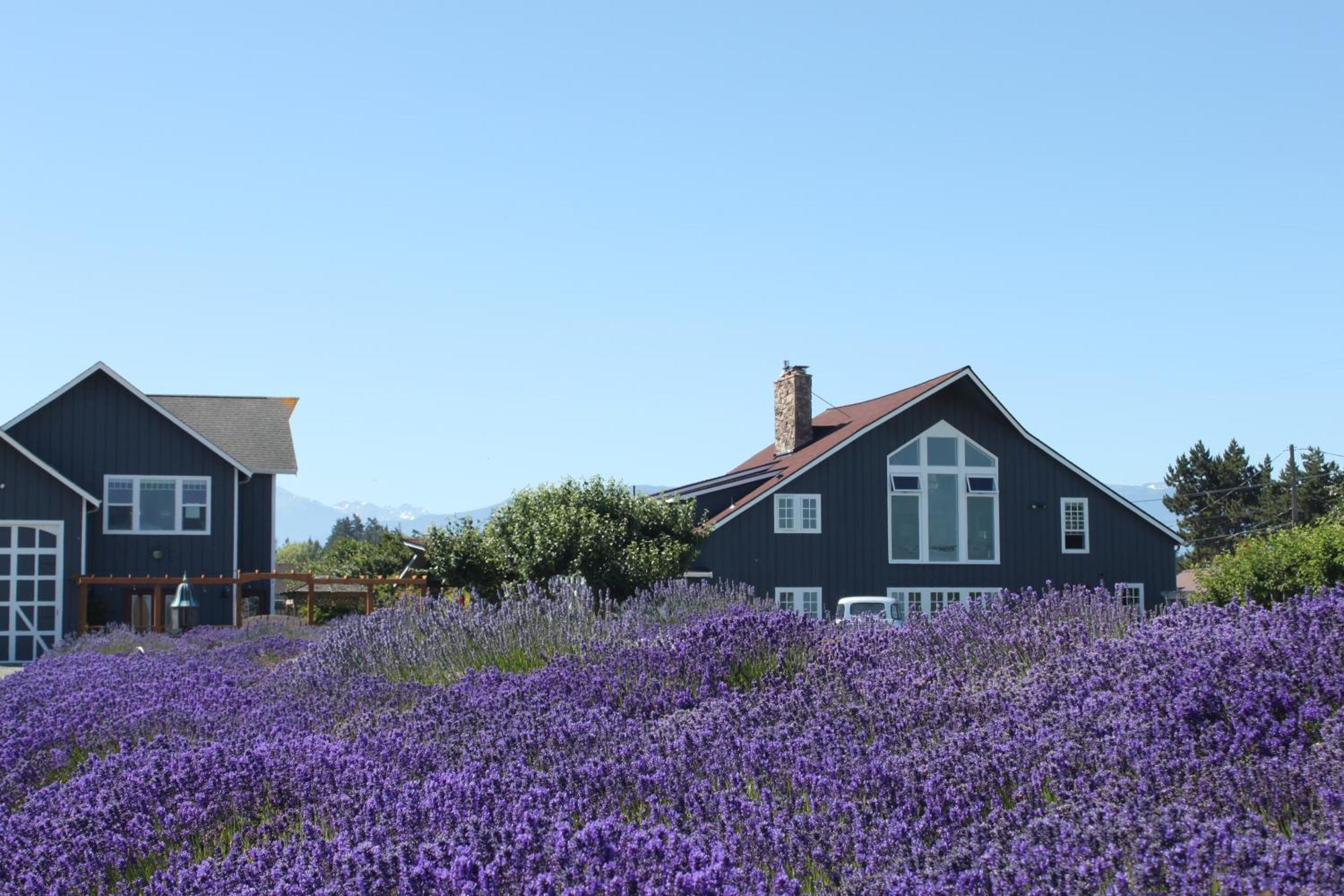 Dungeness Barn House Bed And Breakfast At Two Crows Farm 塞奎姆 外观 照片