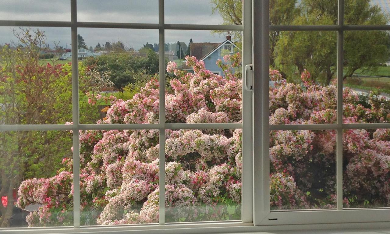 Dungeness Barn House Bed And Breakfast At Two Crows Farm 塞奎姆 外观 照片